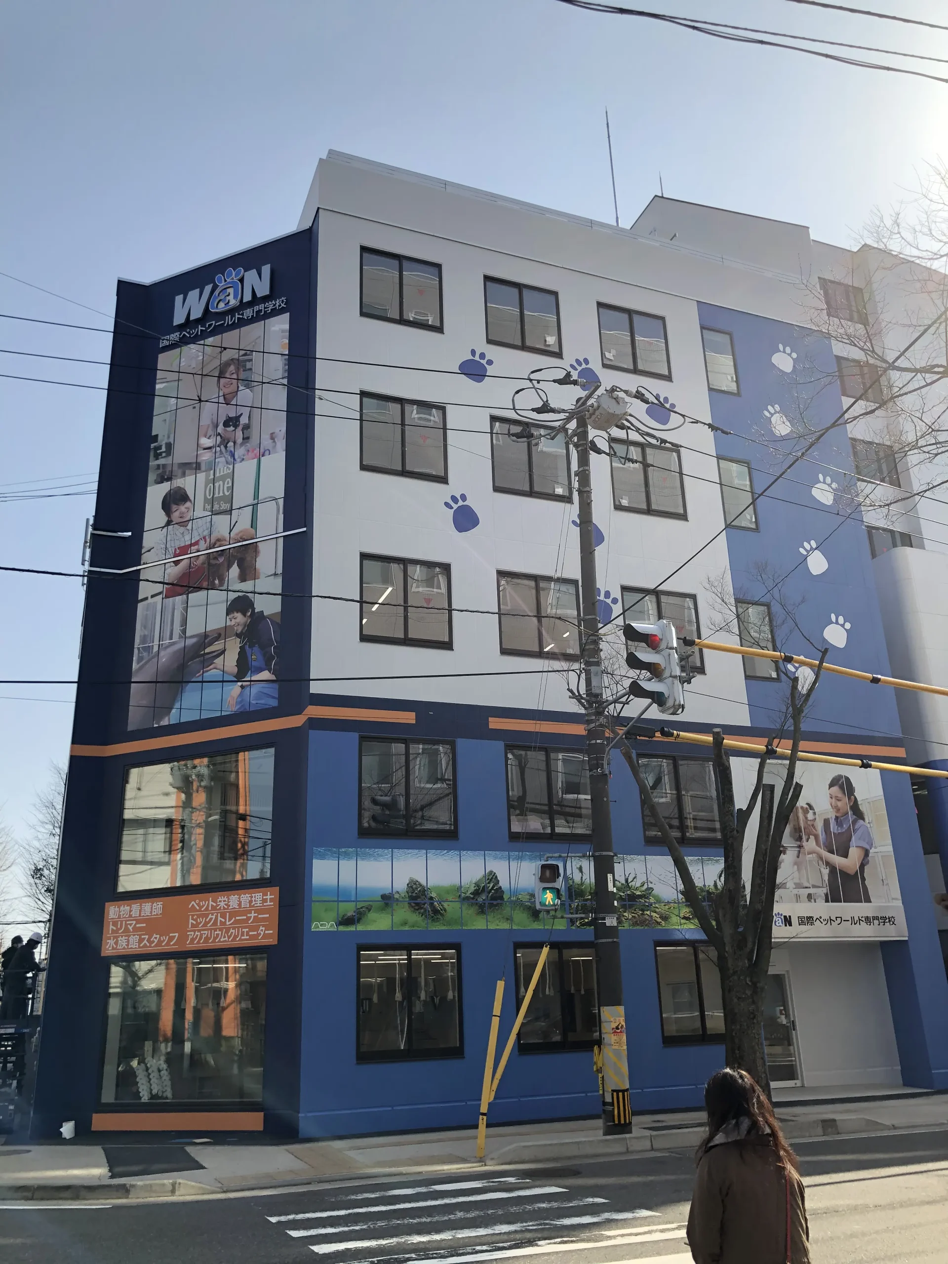 国際ペットワールド専門学校 様 壁面シート施工